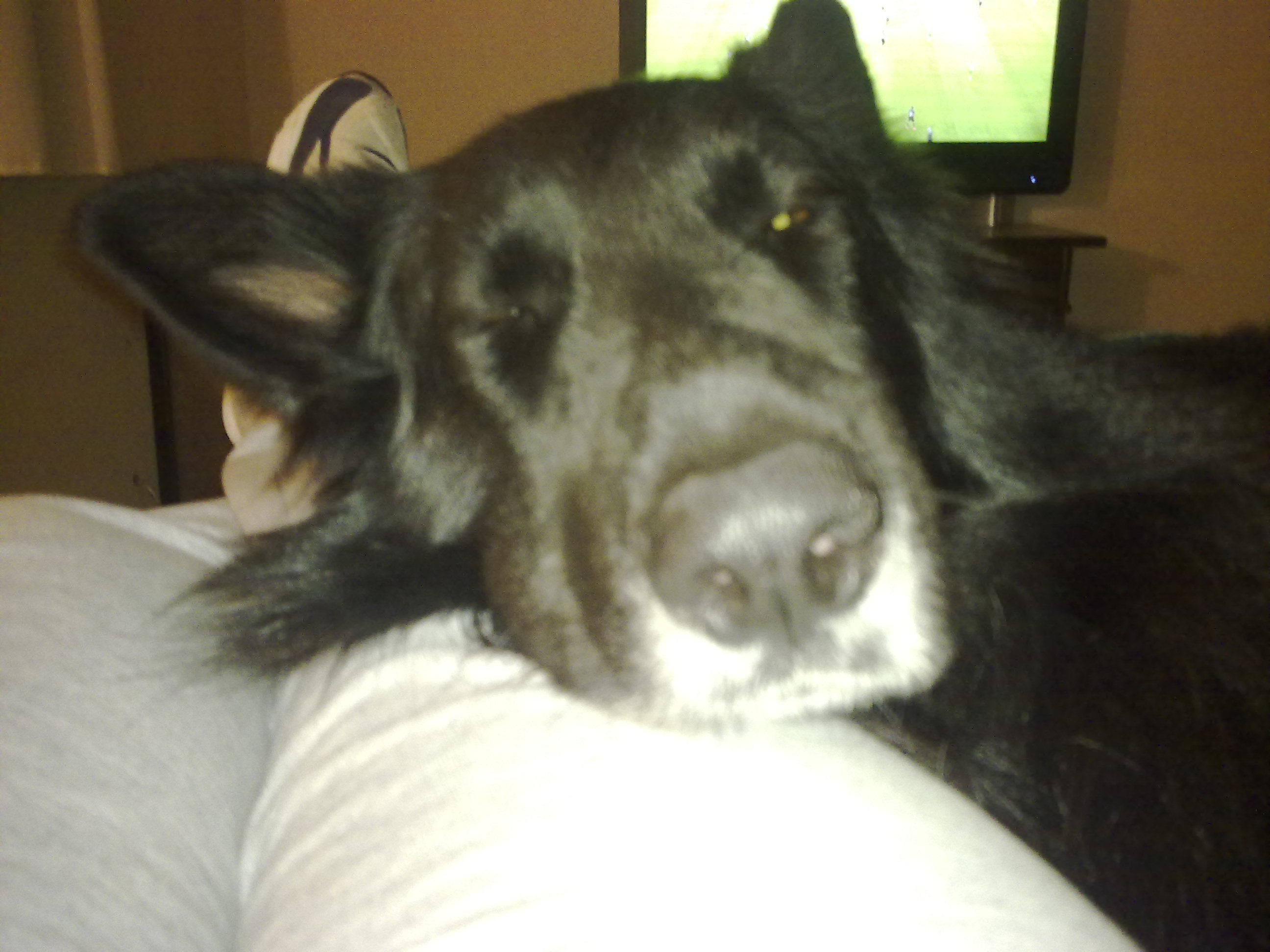 fotos/2010-07-19 - Mision Mundial/11062010433.jpg